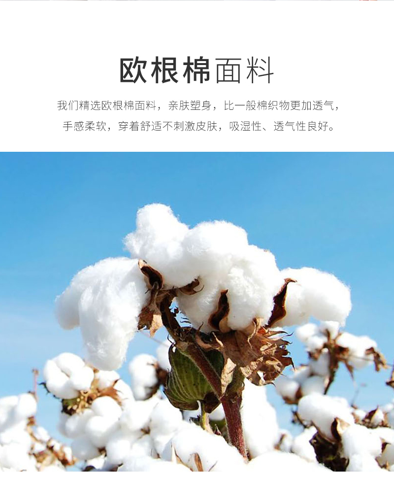 高端欧根棉间色螺纹领